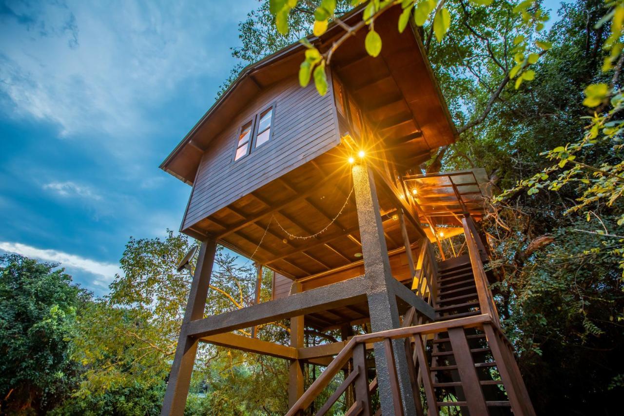 Sigiriya King'S Resort Экстерьер фото