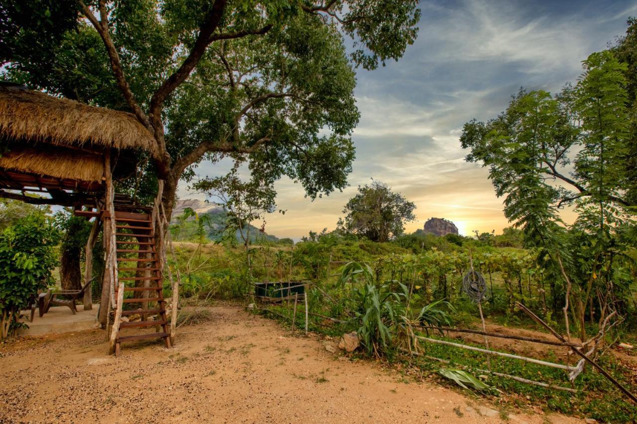 Sigiriya King'S Resort Экстерьер фото