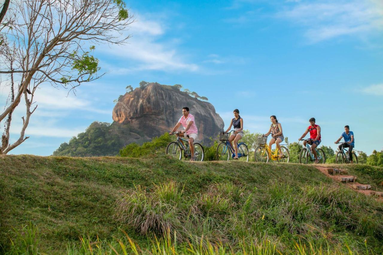 Sigiriya King'S Resort Экстерьер фото