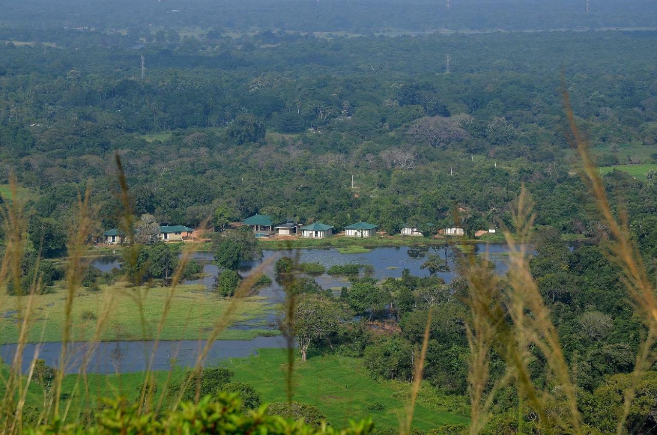 Sigiriya King'S Resort Экстерьер фото
