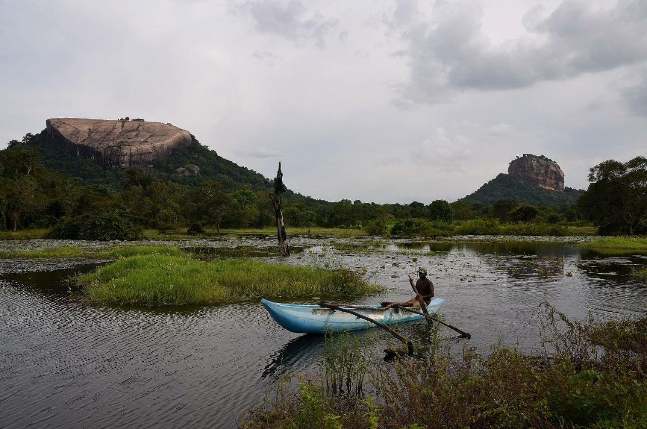 Sigiriya King'S Resort Экстерьер фото