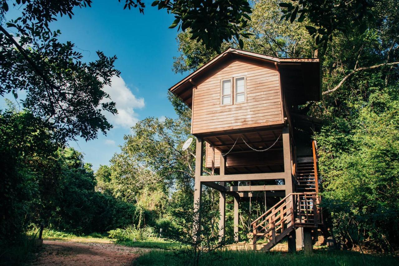 Sigiriya King'S Resort Экстерьер фото