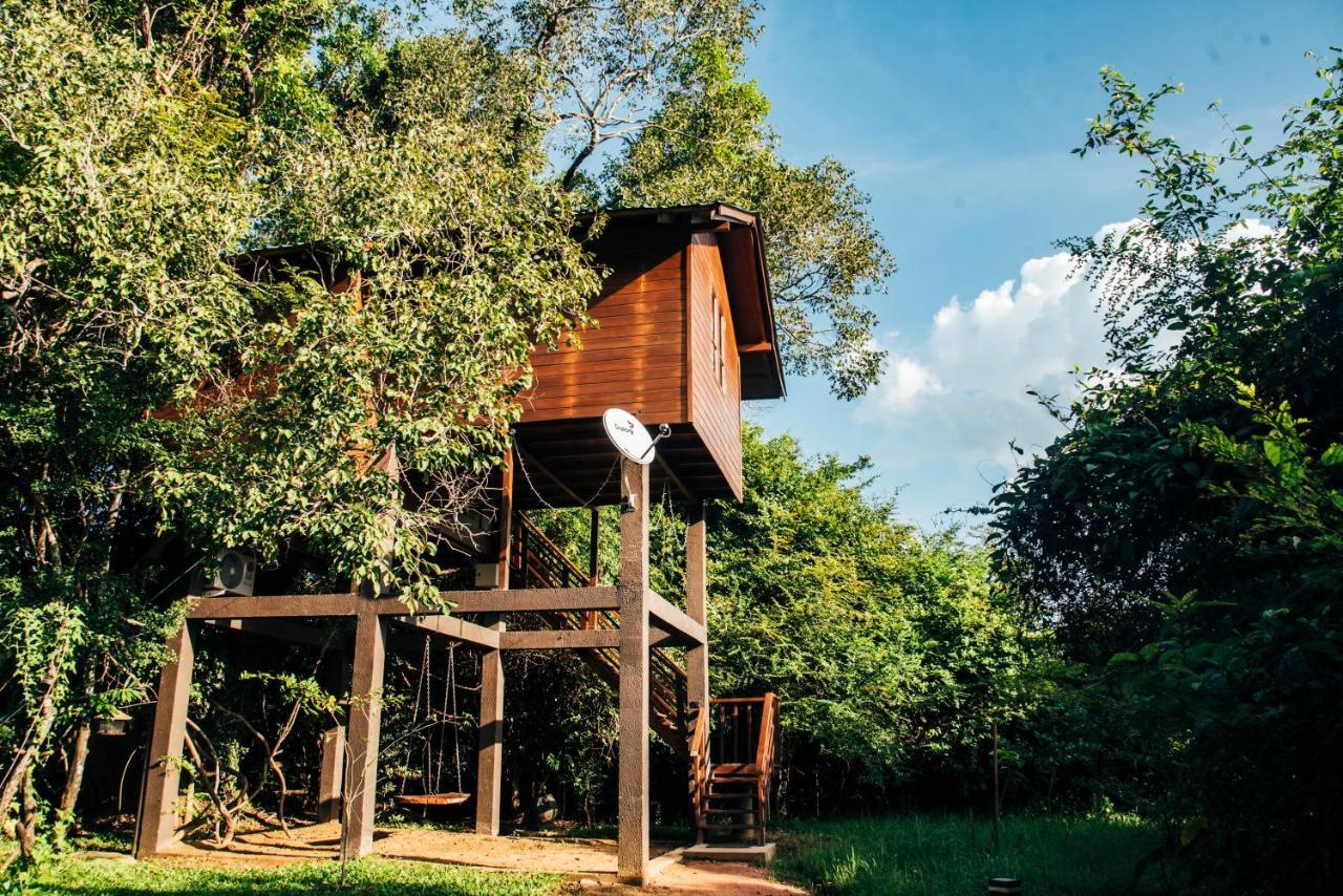 Sigiriya King'S Resort Экстерьер фото