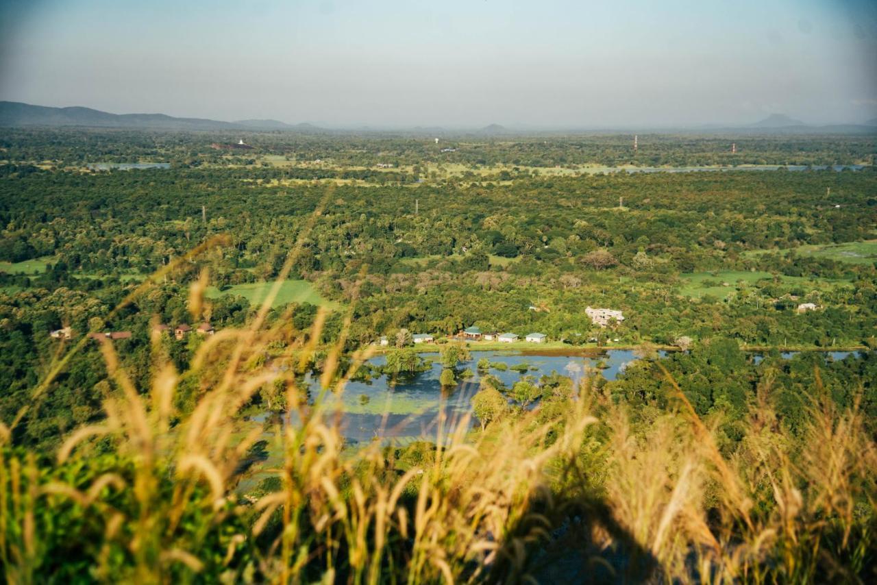 Sigiriya King'S Resort Экстерьер фото
